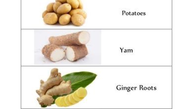 Photo of Vegetables: [Concept, Types, Classification and Examples]