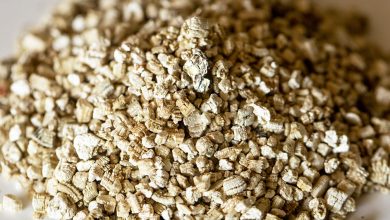 Photo of Vermiculite: What is it? How can we use it in our Garden or Orchard?