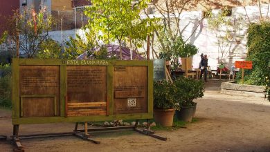 Photo of Visit to the “Esta es una Plaza” orchard in Lavapiés