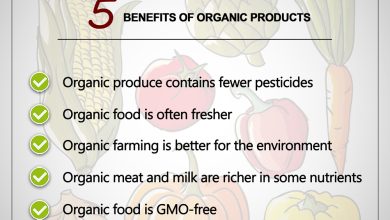 Photo of What are Organic Foods: Characteristics and benefits