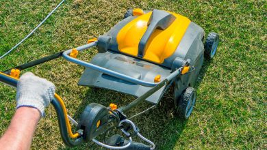 Photo of What is a scarifier and why use it on the lawn?