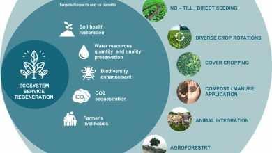Photo of What is Regenerative Agriculture: Everything you need to know