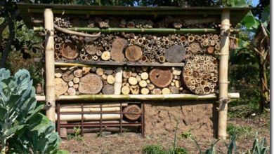 Photo of Why have an insect hotel in the garden or orchard?