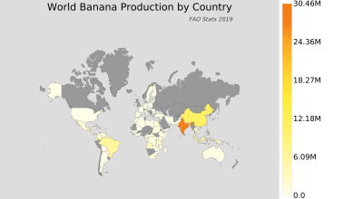 Photo of World Banana Production